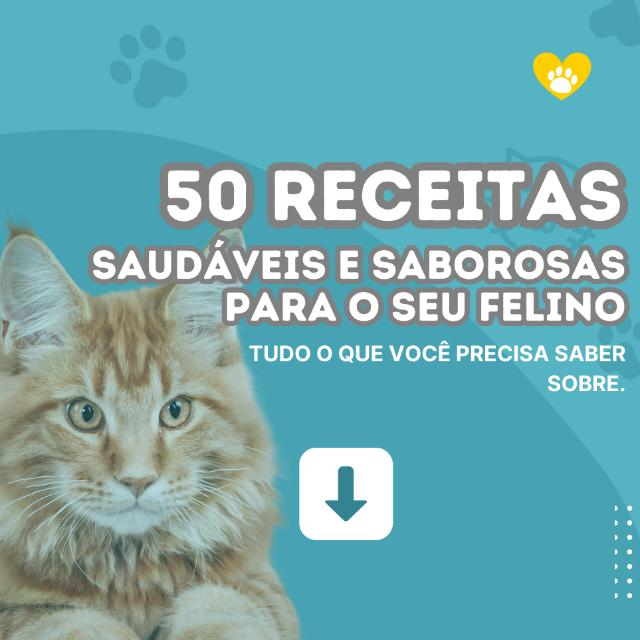 Entre para o Grupo de 50 Receitas Saudáveis pra Gatos! 😸