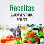Entre para o Grupo de Amizade Pn no WhatsApp!