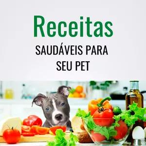 Entre para o Grupo de Amizade Pn no WhatsApp!