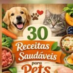 Receitas Saudáveis para Seu Pet